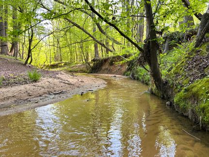 Timberland Property for sale in Chester County, South Carolina