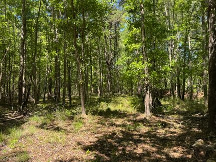 Property for sale in Colleton County, South Carolina