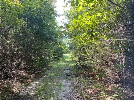 Undeveloped Land for sale in Rusk County, Texas