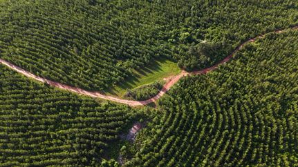 Property for sale in Jasper County, Georgia