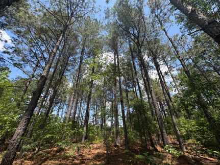 Property for sale in Screven County, Georgia