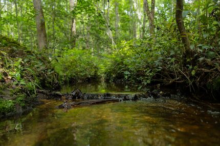 Recreational Property for sale in Kershaw County, South Carolina