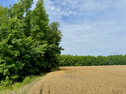 Hunting Land for sale in Florence County, South Carolina