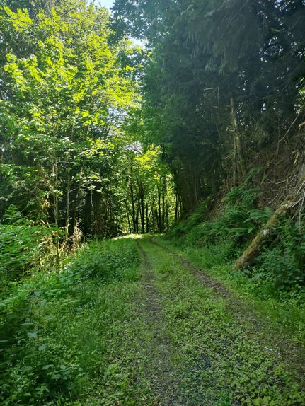 Property for sale in Clallam County, Washington