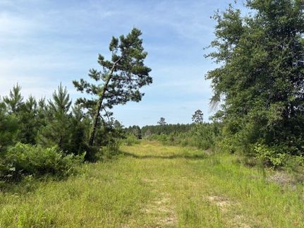 Property for sale in Jasper County, Texas
