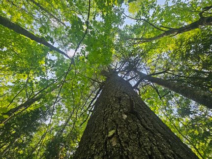 Property for sale in Penobscot County, Maine