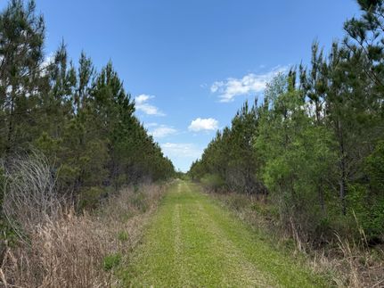 Property for sale in Calhoun County, Florida