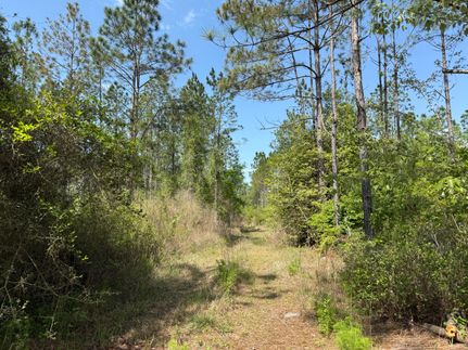 Timberland Property for sale in Holmes County, Florida