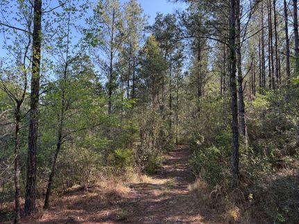 Property in Washington County, Florida