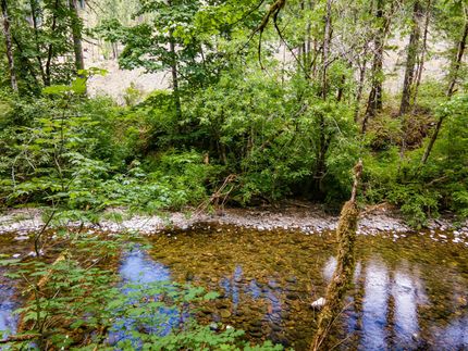 Property for sale in Lane County, Oregon