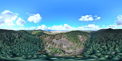 Property in Douglas County, Oregon