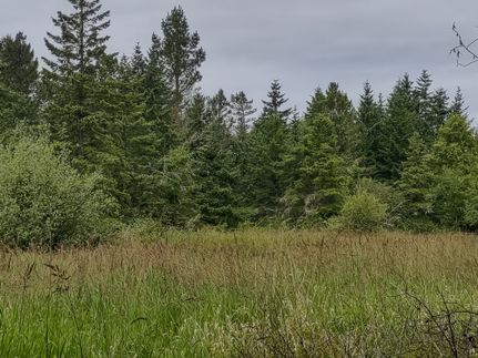 Property in Clallam County, Washington