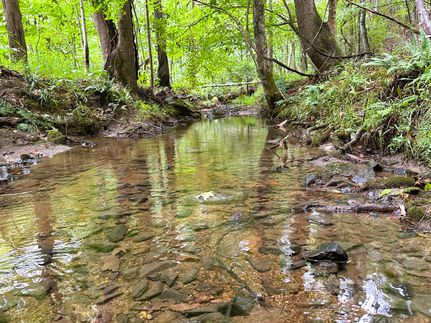 Property for sale in York County, South Carolina