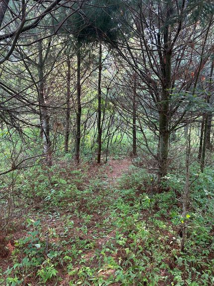 Property in Chippewa County, Michigan