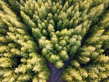 Ranch Property for sale in Lane County, Oregon