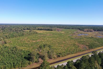 Hunting Land for sale in Wilcox County, Georgia