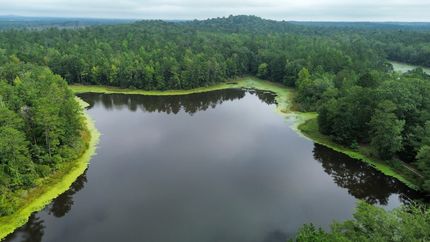 Property for sale in Lowndes County, Alabama