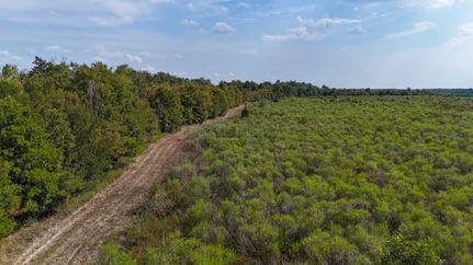 Property in Richland Parish, Louisiana