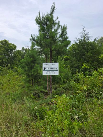 Ranch Property for sale in Newton County, Texas