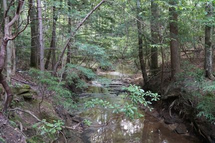 Property for sale in Winston County, Alabama