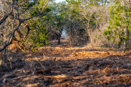 Undeveloped Land for sale in Burnet County, Texas