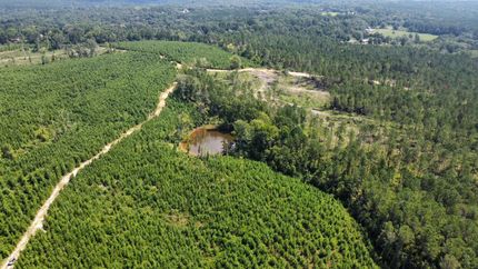 Farm Property for sale in Simpson County, Mississippi