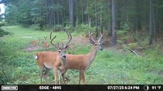 Property for sale in Cherokee County, Texas