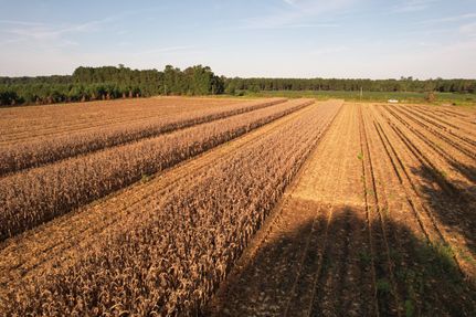 Timberland Property for sale in Williamsburg County, South Carolina