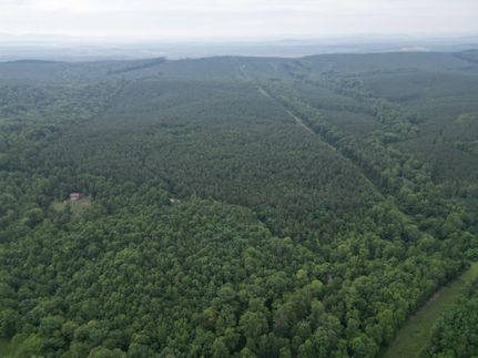 Timberland Property for sale in Nelson County, Virginia