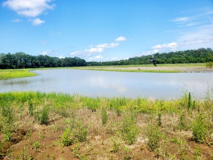 Property for sale in Tunica County, Mississippi