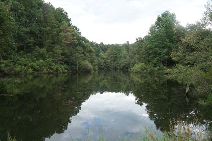 Property for sale in Winston County, Alabama