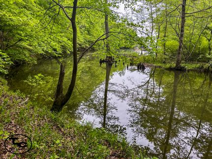 Property for sale in Hardin County, Tennessee