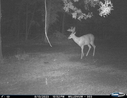 Property in Polk County, Wisconsin