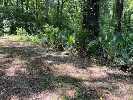 Undeveloped Land for sale in Catahoula Parish, Louisiana