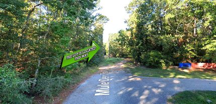 Property in Polk County, Texas