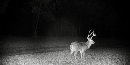 Property for sale in Prentiss County, Mississippi