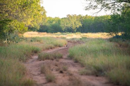 Undeveloped Land for sale in Atascosa County, Texas
