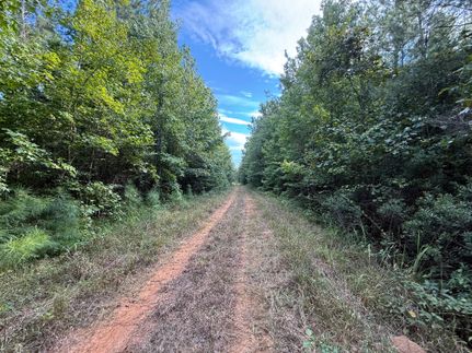 Property for sale in Marengo County, Alabama