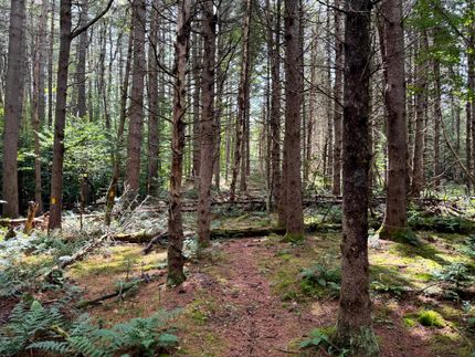 Residential Property for sale in Herkimer County, New York