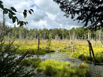 Property for sale in Herkimer County, New York