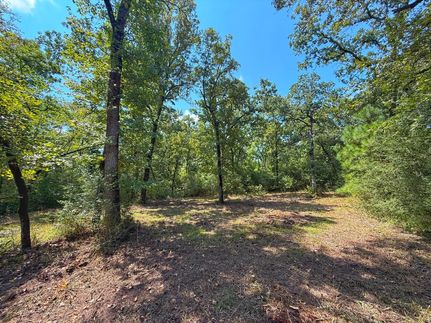 Recreational Property for sale in Leon County, Texas