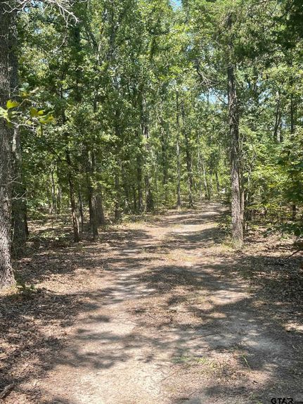 Hunting Land for sale in Wood County, Texas