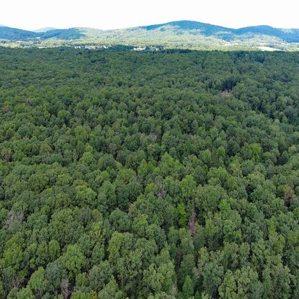 Property for sale in Orange County, Virginia