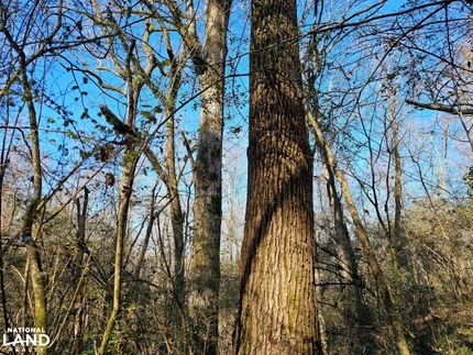 Timberland Property for sale in Jefferson County, Alabama