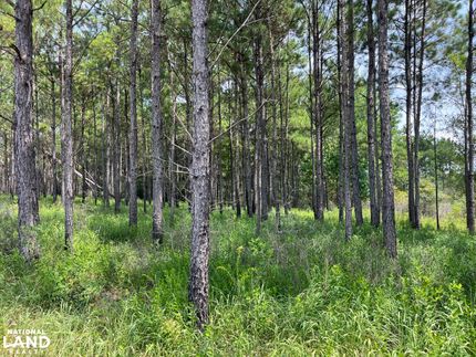 Riverfront Property for sale in George County, Mississippi