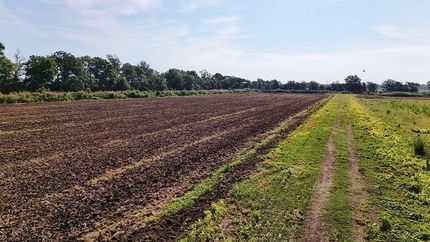 Farm Property for sale in Bolivar County, Mississippi