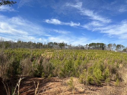 Undeveloped Land for sale in Cherokee County, South Carolina
