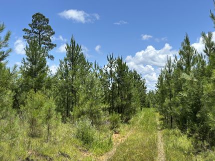 Hunting Land for sale in Edgefield County, South Carolina