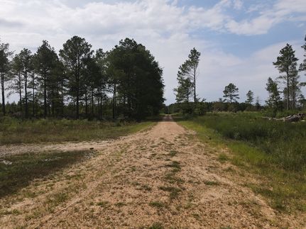 Undeveloped Land for sale in Ashley County, Arkansas
