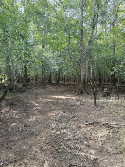 Property for sale in Jackson Parish, Louisiana